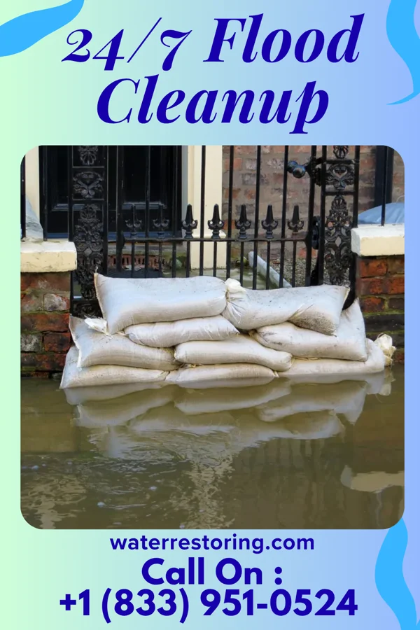 24/7 Flood Cleanup in Carolina Meadows, NC