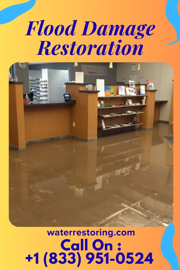 Flood Damage Restoration in Carolina Meadows, NC