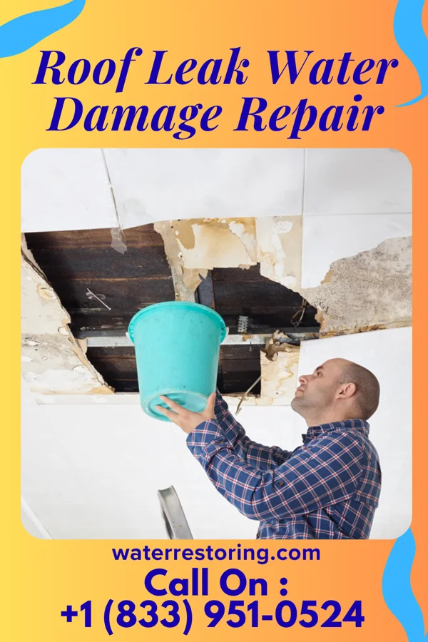 Roof Leak Water Damage Repair in Carolina Meadows, NC